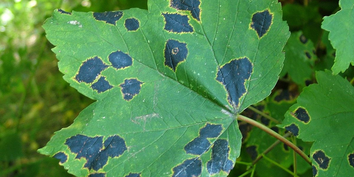 55728_032.jpg 55728_032.jpg