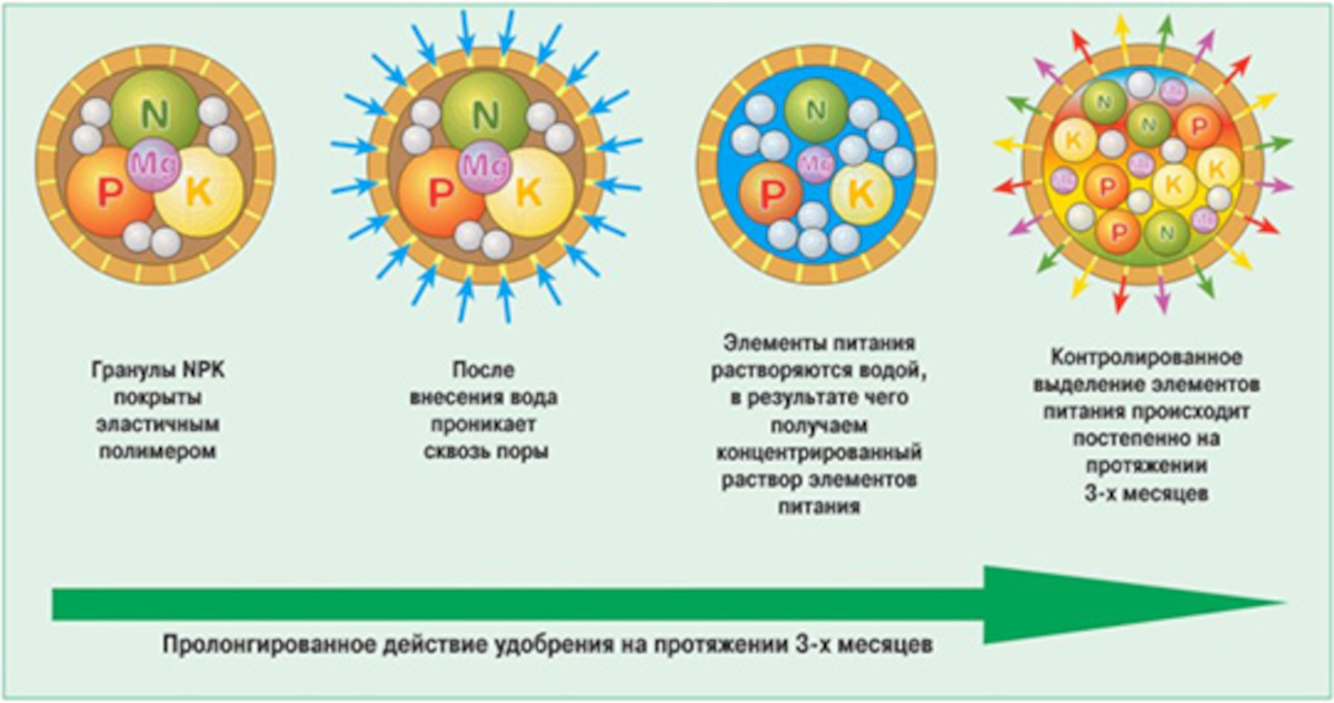 55720_03.jpg 55720_03.jpg